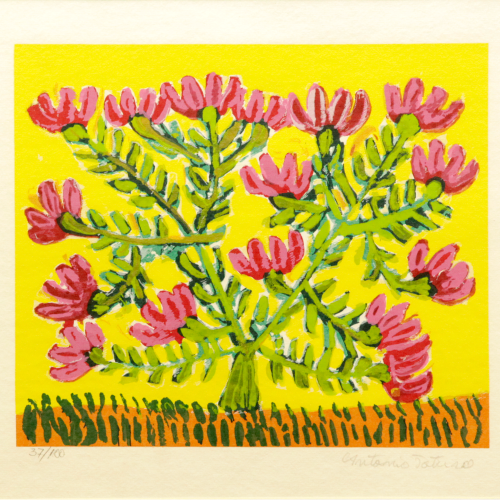 Flores